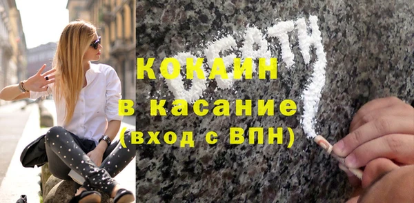твердый Арсеньев