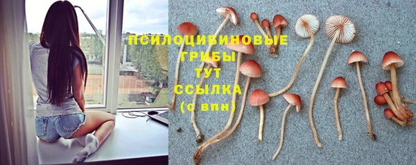 твердый Арсеньев