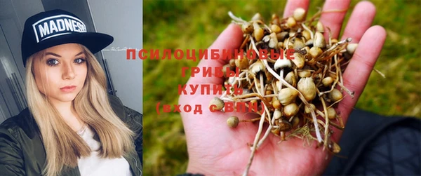 бутик Аркадак