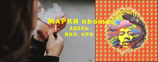 твердый Арсеньев